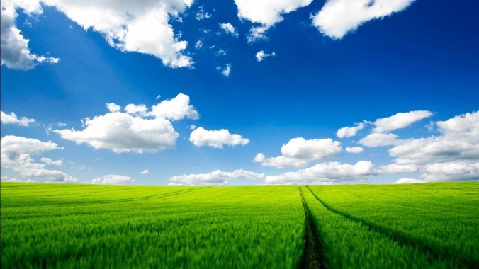 要想完全放弃Windows操作系统而使用 Linux需要多少勇气？